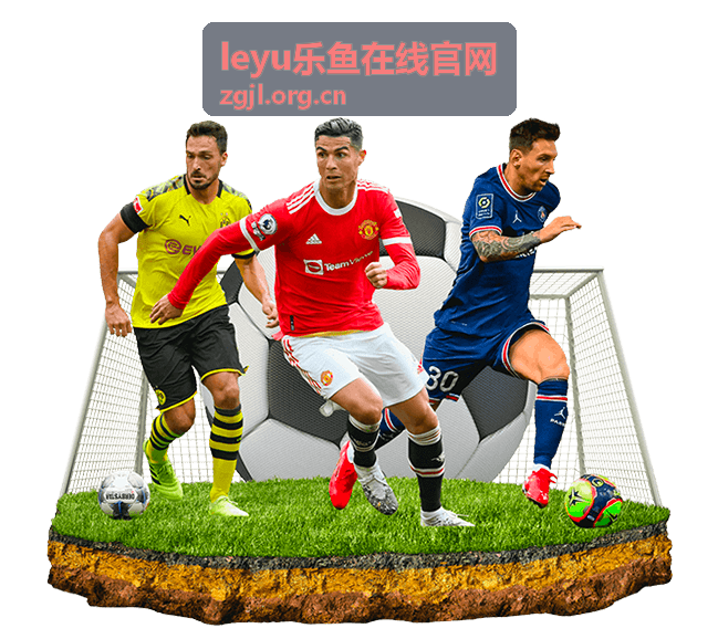 leyu乐鱼在线官网账号安全与访问规范